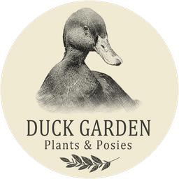 store_logo