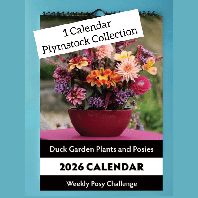 1 Calendar - Plymstock Collection