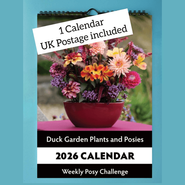 1 Calendar - UK Postage included