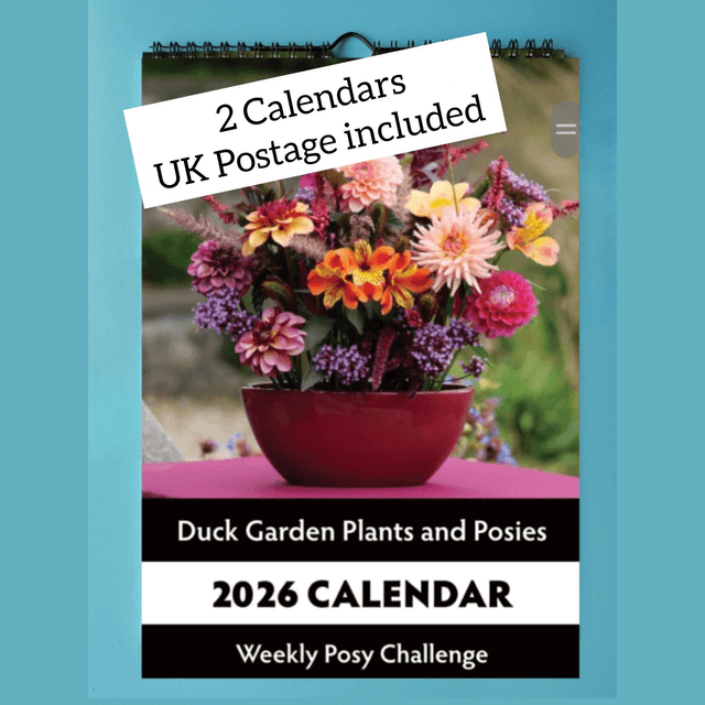 2 Calendars - UK Postage included