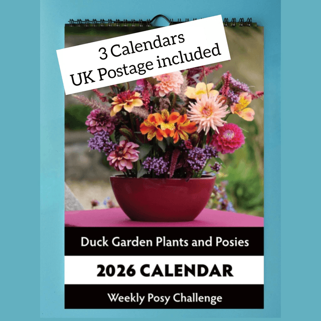 3 Calendars - UK Postage included
